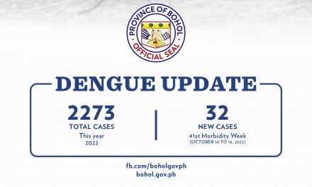 The Province of Bohol records 2272 dengue cases and one death this year