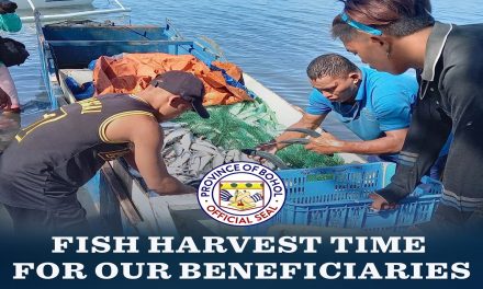 <strong>FISH HARVEST TIME FOR OUR BENEFICIARIES</strong>