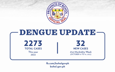 The Province of Bohol records 2272 dengue cases and one death this year