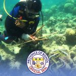 Bohol coastal resource management program produces 2,000 locally-produced clams