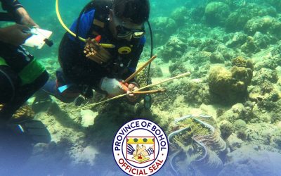 Bohol coastal resource management program produces 2,000 locally-produced clams