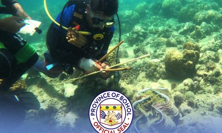 Bohol coastal resource management program produces 2,000 locally-produced clams