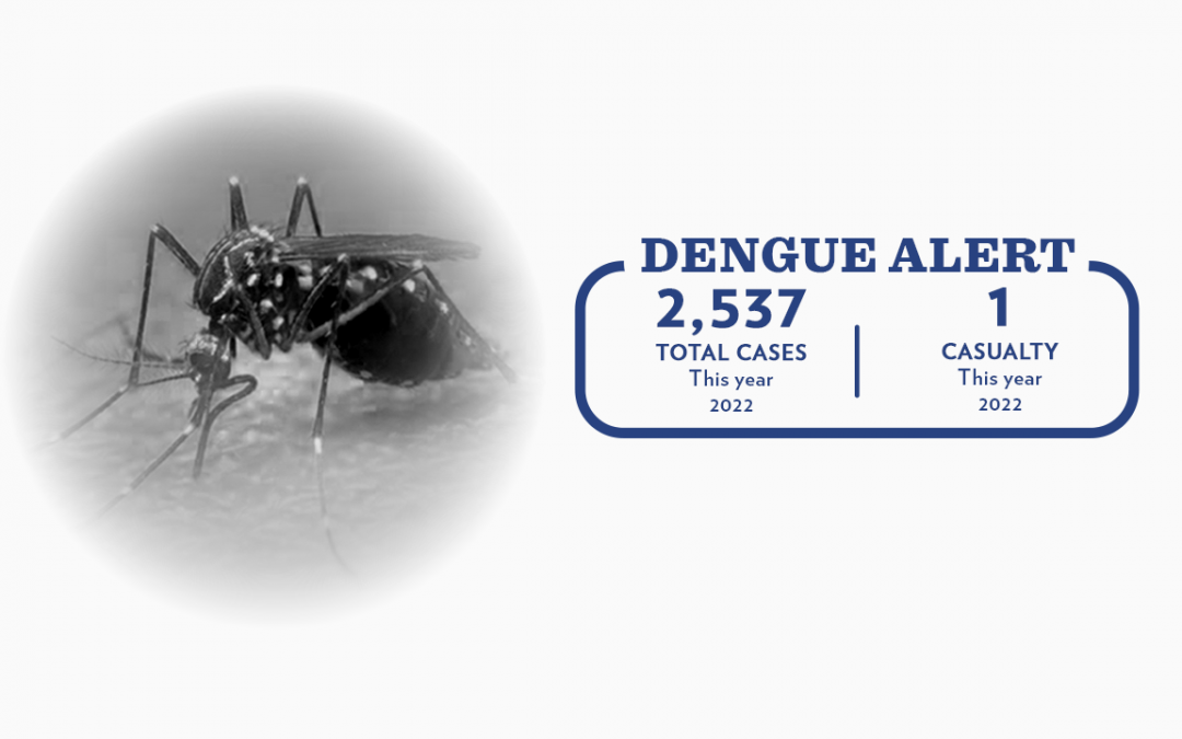 DENGUE ALERT: Bohol records 2,537 dengue cases and one death this year