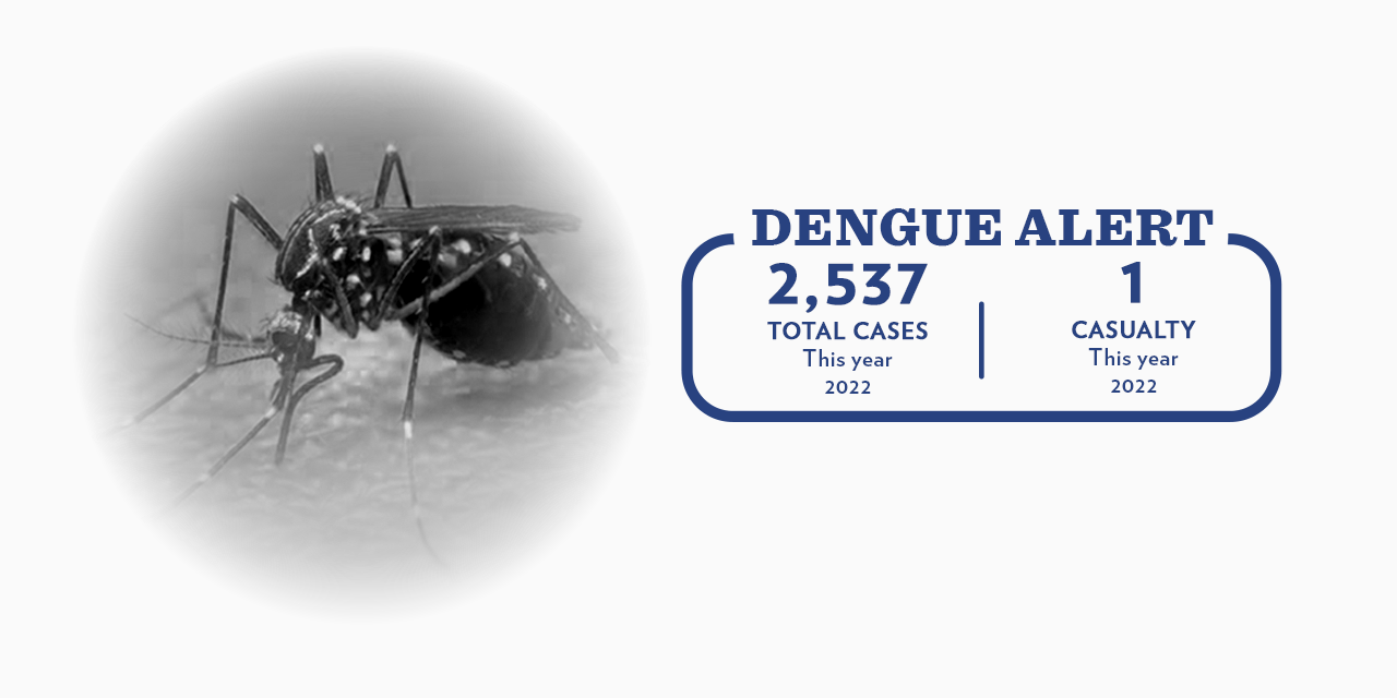 <strong>DENGUE ALERT: Bohol records 2,537 dengue cases and one death this year</strong>