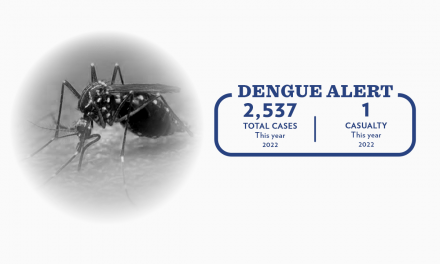 <strong>DENGUE ALERT: Bohol records 2,537 dengue cases and one death this year</strong>