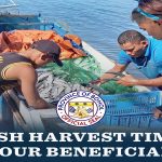 <strong>FISH HARVEST TIME FOR OUR BENEFICIARIES</strong>