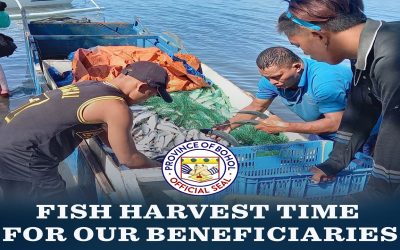 FISH HARVEST TIME FOR OUR BENEFICIARIES